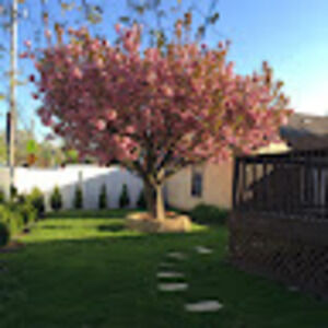 Meet your Posher, Martha